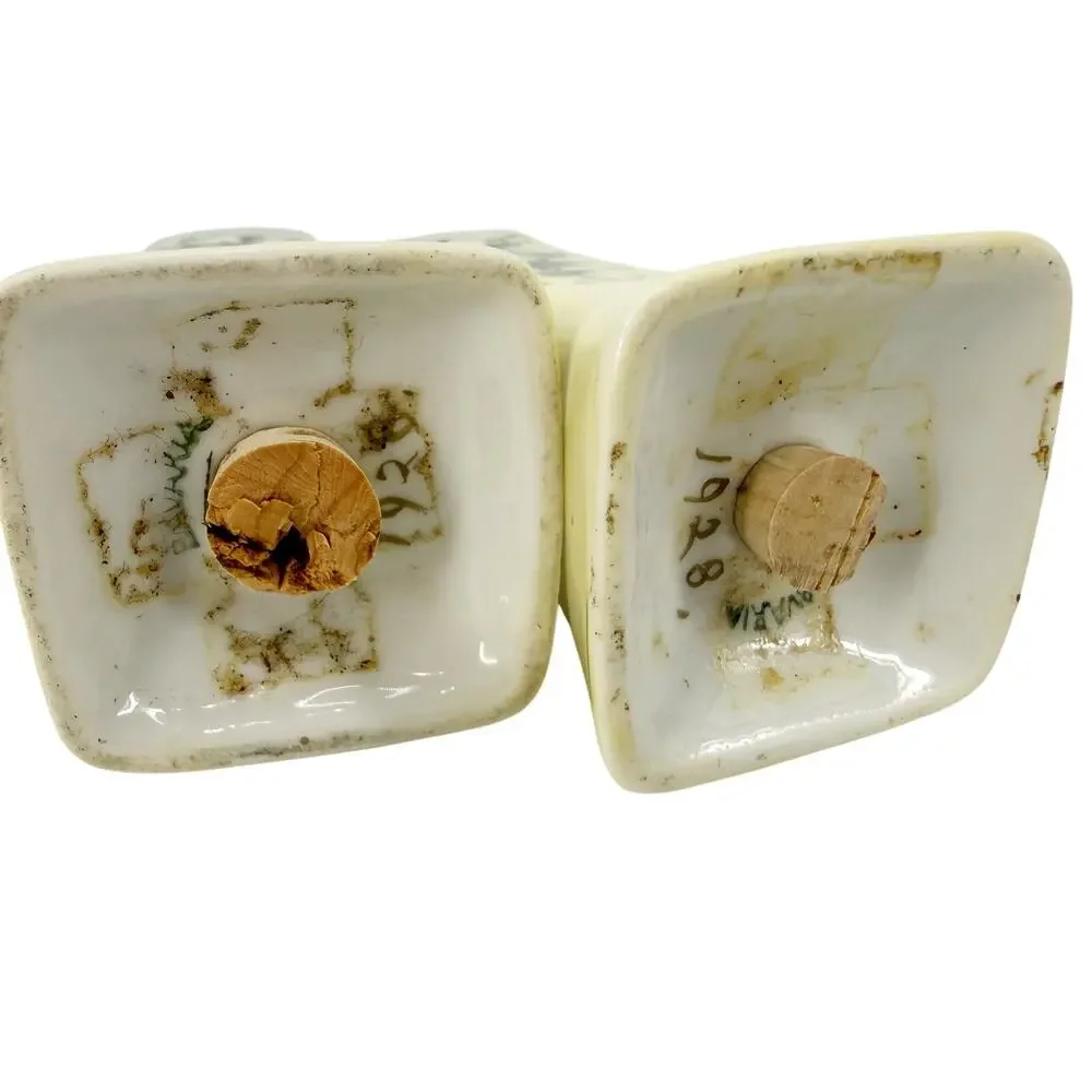 vintage yellow & pale blue green ivy Salt & Pepper Shakers Bavaria kitchenware